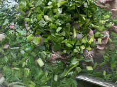 -小杨翘脚牛肉