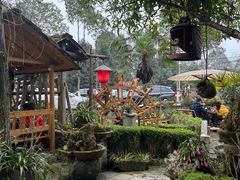 -青城甲(青城山店)