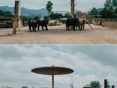 -杭州野生动物世界