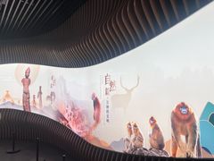 -四川大学博物馆