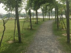 -上海长兴岛郊野公园