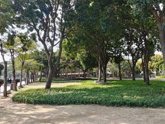 -顺峰山公园
