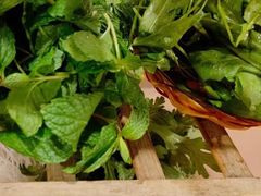 -羊肉大仙(金凯广场店)