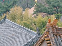 -潭柘寺景区