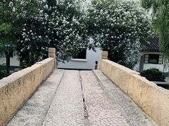 -葑门横街
