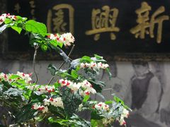 -新兴园饺子馆(河南街店)
