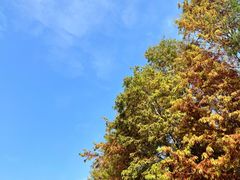 -上海海湾国家森林公园