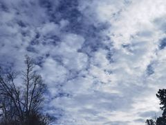 -长白山红松王滑雪场