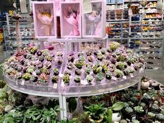 -KKV(深圳kk one 店)