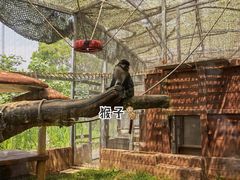 -东莞香市动物园