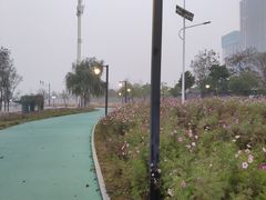 -武昌江滩