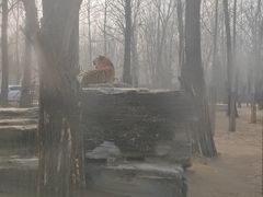 -秦皇岛野生动物园