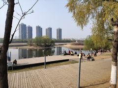 -长白岛森林公园