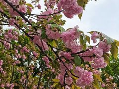 -长沙市青少年宫