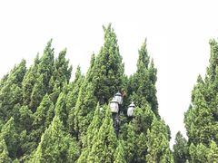 -南沙蒲洲花园