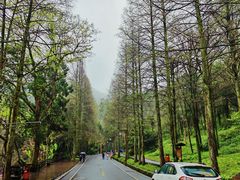 -青城山