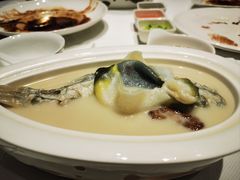 河豚各吃-味茂·老船夫1927(东海东路店)