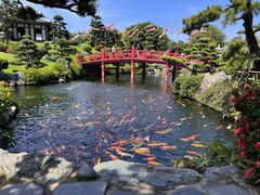-芽庄珍珠岛游乐园