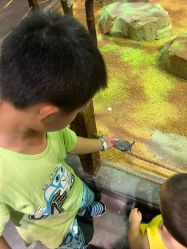 -酷嗒动物文化乐园(cutezoo西溪乐天城店)