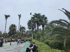-枫香湖儿童公园