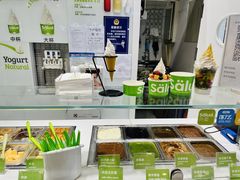 -Salud撒露欧洲冻酸奶(蓝色港湾店)