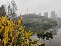 -重庆彩云湖湿地公园