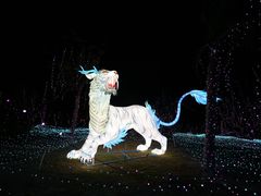 -珠海海泉湾度假区