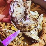 魔都探店｜九亭好吃好玩的海鲜平价店