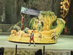 -广州长隆国际大马戏