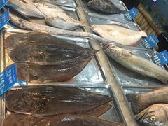 海鲜-浩运·海鲜青岛菜·海胆水饺(石老人店)