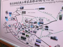 -武陵山森林公园