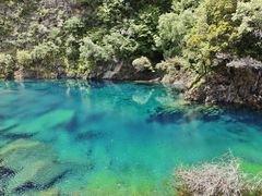 -叠溪松坪沟景区