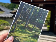 -西芳寺(苔寺)