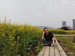 -光明小镇欢乐田园