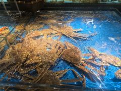 -徐记海鲜·家宴(南油永新汇店)