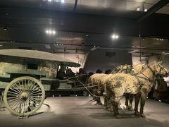 -秦始皇帝陵博物院-丽山园