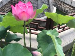 -湘子庙