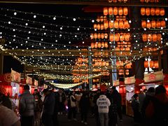 -东台西溪天仙缘景区