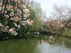 -荆川公园
