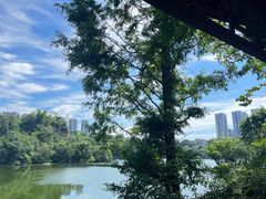 -重庆彩云湖湿地公园