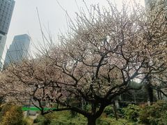 -西湖天地