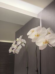 -in BEAUTY法国原液之谜