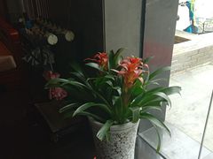 -大唐盲人按摩中心(黄山路店)