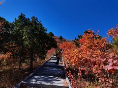-北京西山国家森林公园