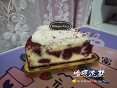 -哈根达斯(石家庄北国店)