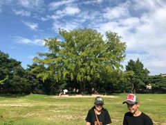 -景福宫