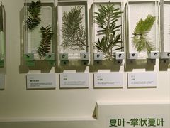 -中国湿地博物馆