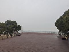 -江滩湿地公园