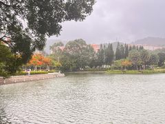 -厦门大学(思明校区)