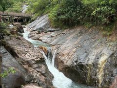 -广州白江湖森林公园